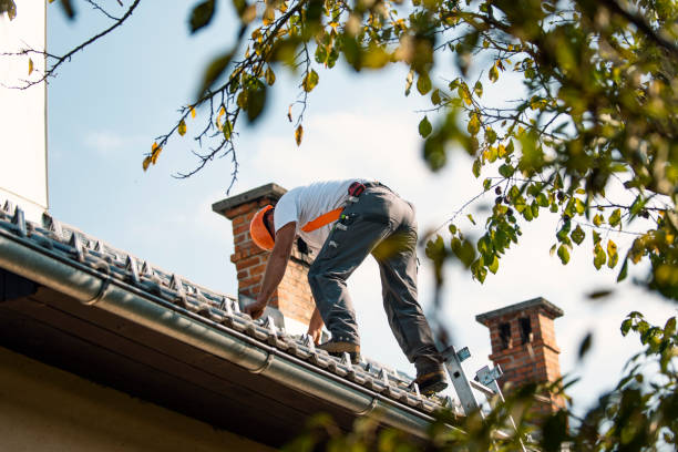 Best Residential Roofing Contractor  in Amherst, VA
