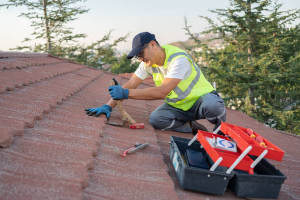 Best Shingle Roofing Installation  in Amherst, VA