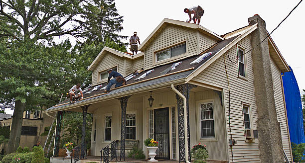 Best Roof Gutter Cleaning  in Amherst, VA