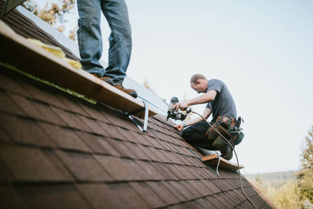 Best Affordable Roofing Company  in Amherst, VA